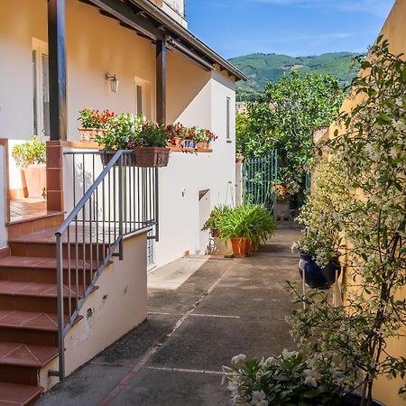 Casa Assunta B&B Vico Equense Ngoại thất bức ảnh