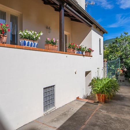 Casa Assunta B&B Vico Equense Ngoại thất bức ảnh