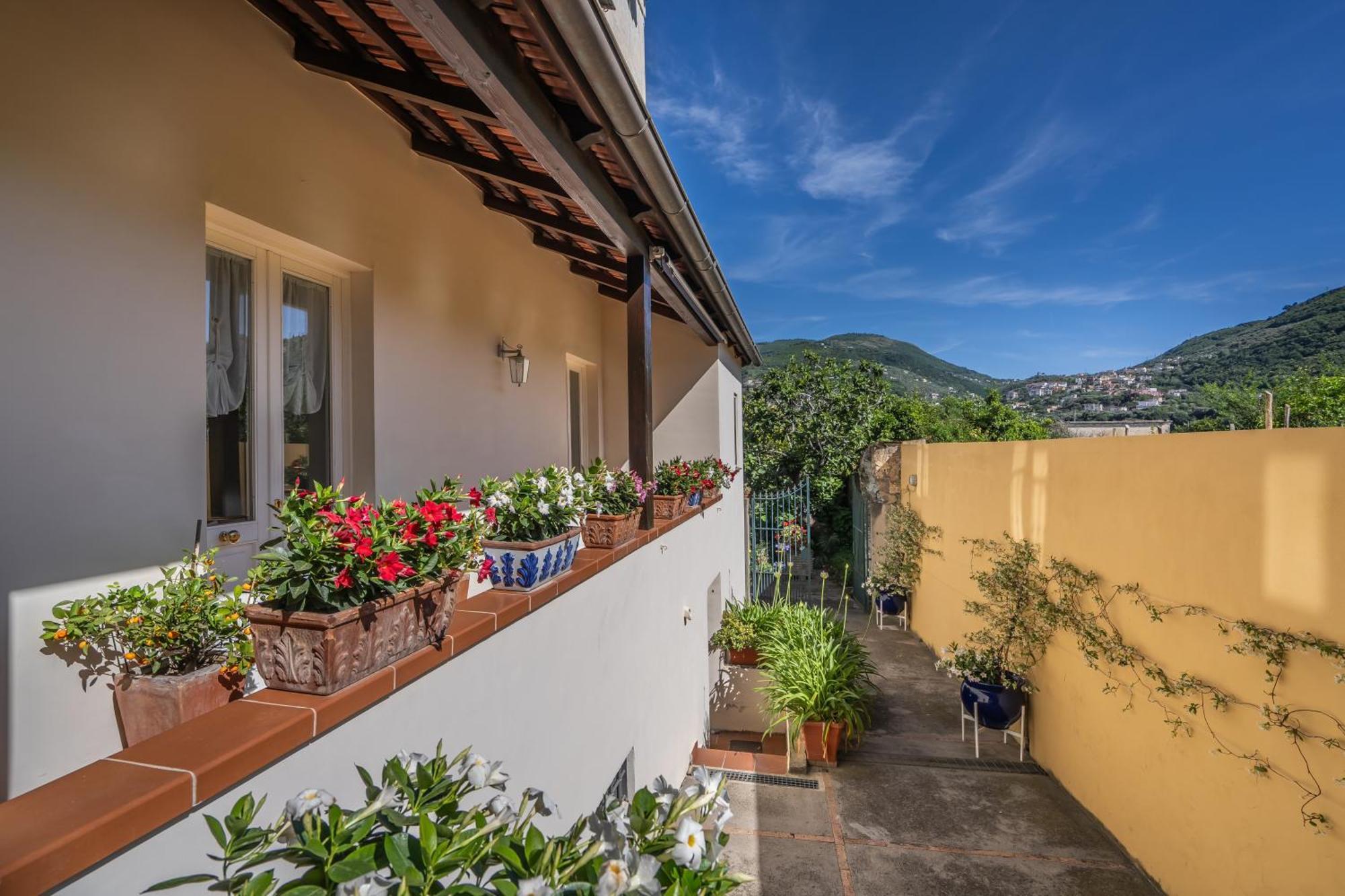 Casa Assunta B&B Vico Equense Ngoại thất bức ảnh